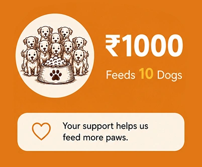 Feed 10 Dogs