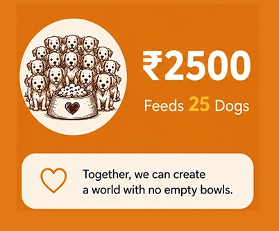 Feed 25 Dogs