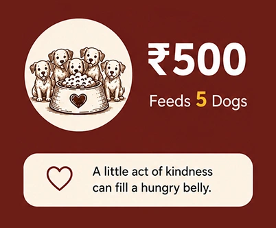Feeds 5 dogs